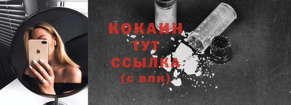 соль ск Верея