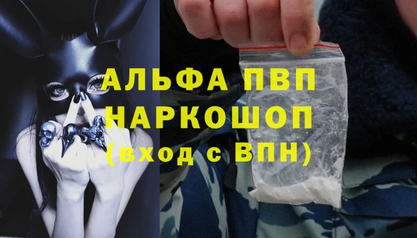 СК Володарск
